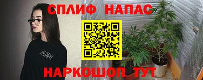 МДПВ Заводоуковск