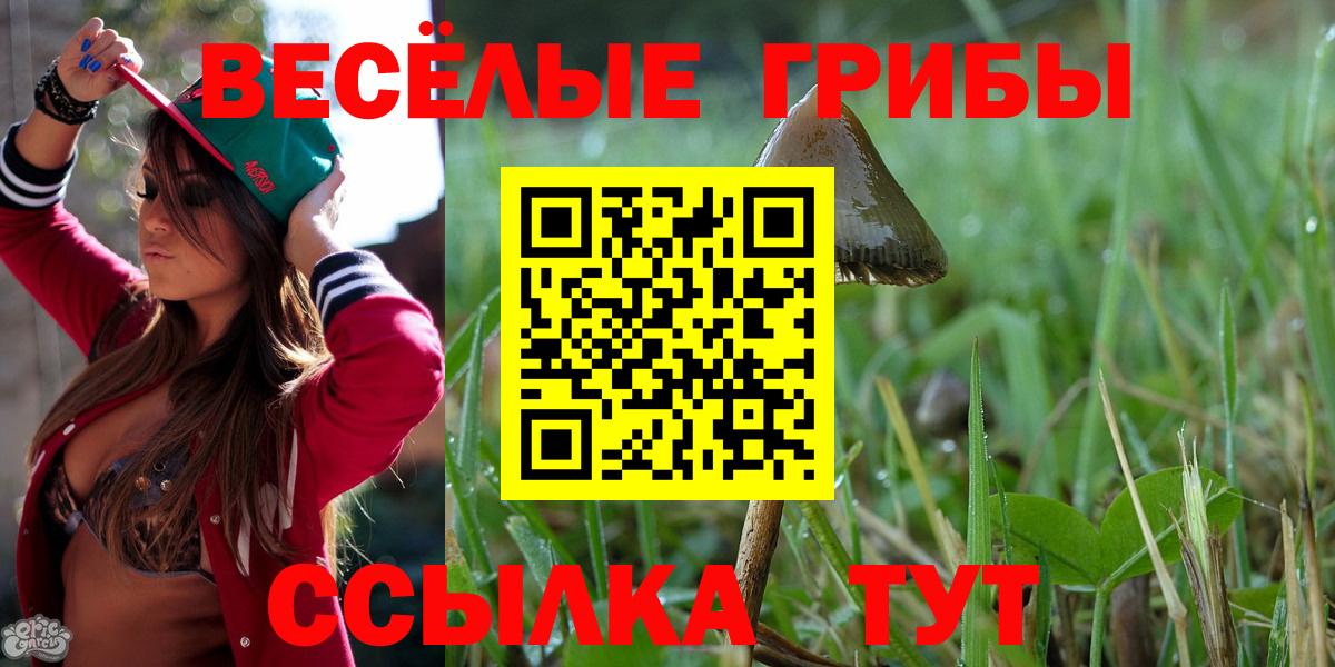Псилоцибиновые грибы GOLDEN TEACHER Миасс