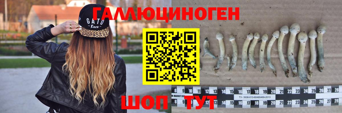 Миасс  Псилоцибиновые грибы Psilocybine cubensis  Вход с VPN  Псилоцибиновые грибы мухоморы 